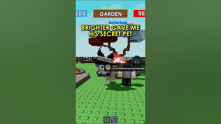 SECRET BRIGHTER RACCOON from Owner Of Grow a Garden!