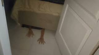 Zombie Part 1