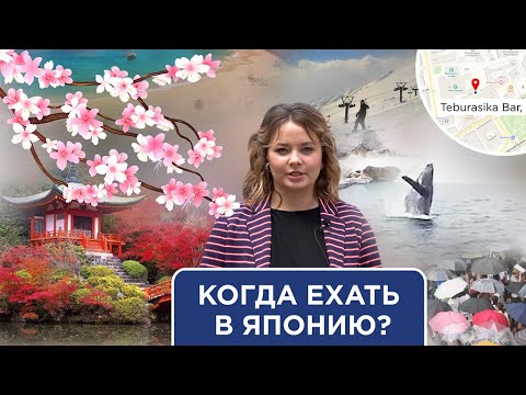 Когда ехать в Японию? Разбор по месяцам