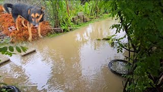 Download Lagu Heavy Rainfall Cause Flood In Portland \u0026 St mary Again 😢 MP3