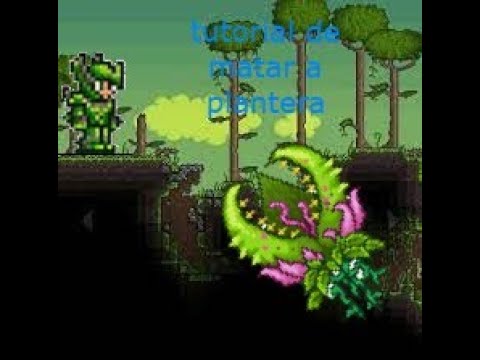 Terraria Ranger Tutorial Como ser Ranger en Terraria PS3 tutorial de como matar a plantera - YouTube