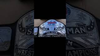 WWE WWF NWA ROH AEW Custom design wrestling championship belt