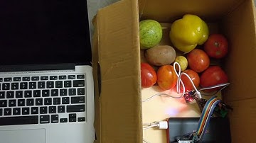 Innovative IoT System for Real-Time Perishable Quality Monitoring
