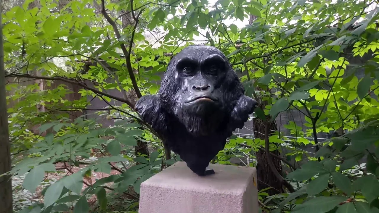 Columbus Zoo, First Time In 30 Years !! YouTube