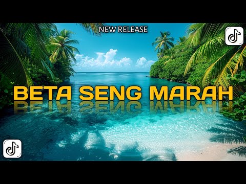 LAGU JOGET BETA SENG SANGKA ADE NONA REMIX