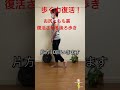 後ろ歩きは歩く力復活させる!#股関節#シニア#お尻トレ