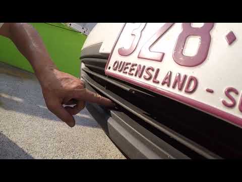 CARPET PYTHON IN ARUNDAL