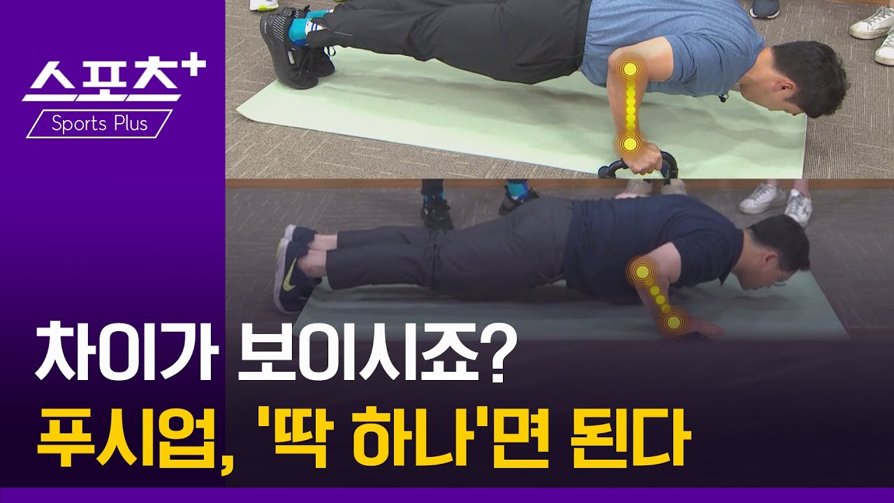 [건강 알고리즐]너무나 어려운 푸시업…잘 된 자세는 딱 하나만 보면 된다!