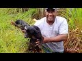 salvando uma cachorra que caiu no buraco @mundodacacaepescanoseua @dia-a-diadamulhernocampo