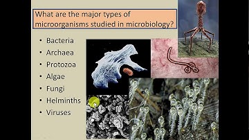 Chapter 1 - Part 1 - Introduction to Microbiology