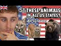 Brit reacting to the largest predator in each us state