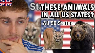 Brit Reacting to The Largest Predator In Each US State