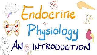 Endocrine Physiology | Introduction | Endocrinology Series screenshot 3