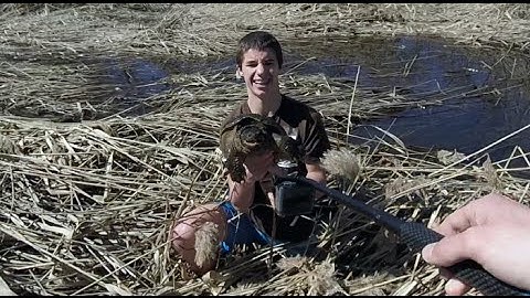 Herping - First Painter And Jacob