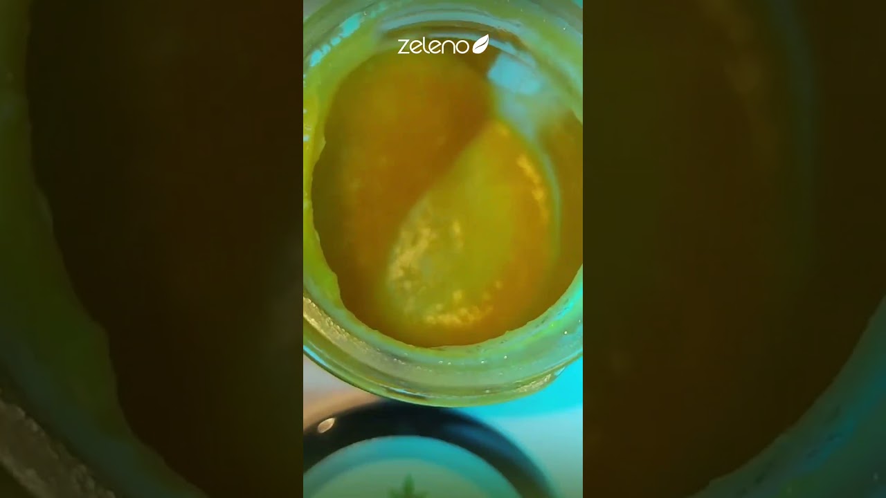 Concentrados THC e CBD. 