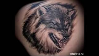Значение татуировки волки
