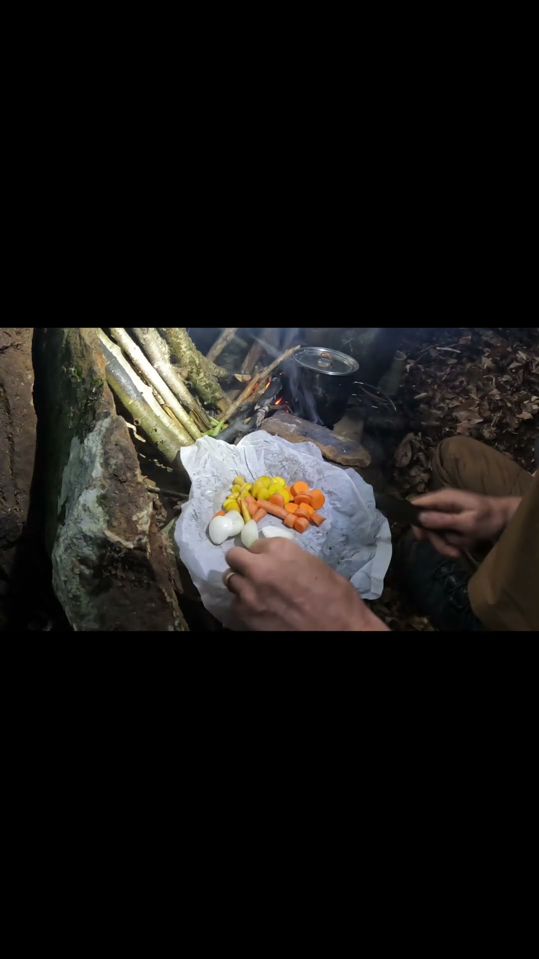 Cooking Fat Back Bacon Stew  #camping #campfirecooking #bushcraft