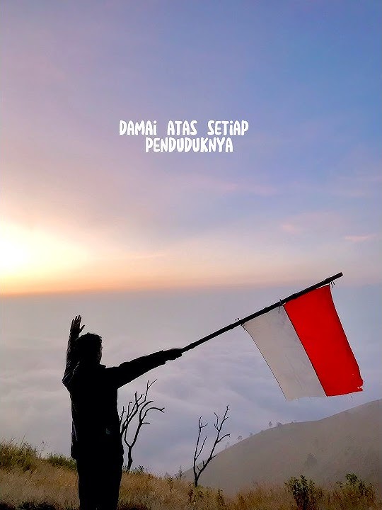 Damailah Indonesiaku #17agustus #hutri #indonesia #shorts