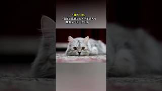 猫の十戒 #動物 #猫  #感動  #cat