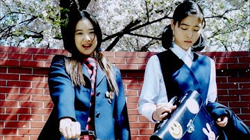 上野樹里19歳＆ブレイク前の蒼井優、20年ぶり再上映！映画『亀は意外と速く泳ぐ』予告編