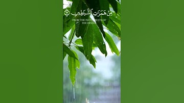 القرآن الكريم راحة نفسية ❤️ #القرآن_الكريم #المصحف #اكسبلور