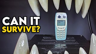Would A Retro Nokia Survive A TRex Bite? Hydraulic Press Video