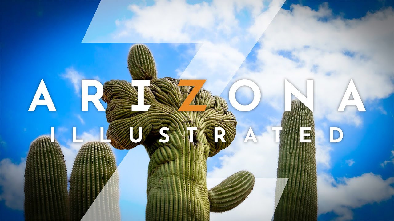 Arizona Illustrated 1129: All About Desert Plants