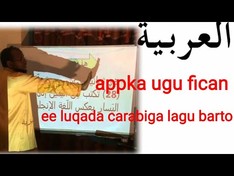 appka ugu fican ee lagu barto luqada carabiga wllo ka fa idayso