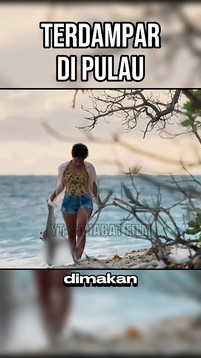 TERDAMPAR DI PULAU