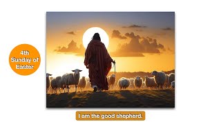 The Good Shepherd lays down his life for his sheep.  Homily for the 4th Sunday of Easter, Year B.