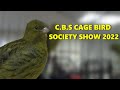 Cage bird society bird show 2022