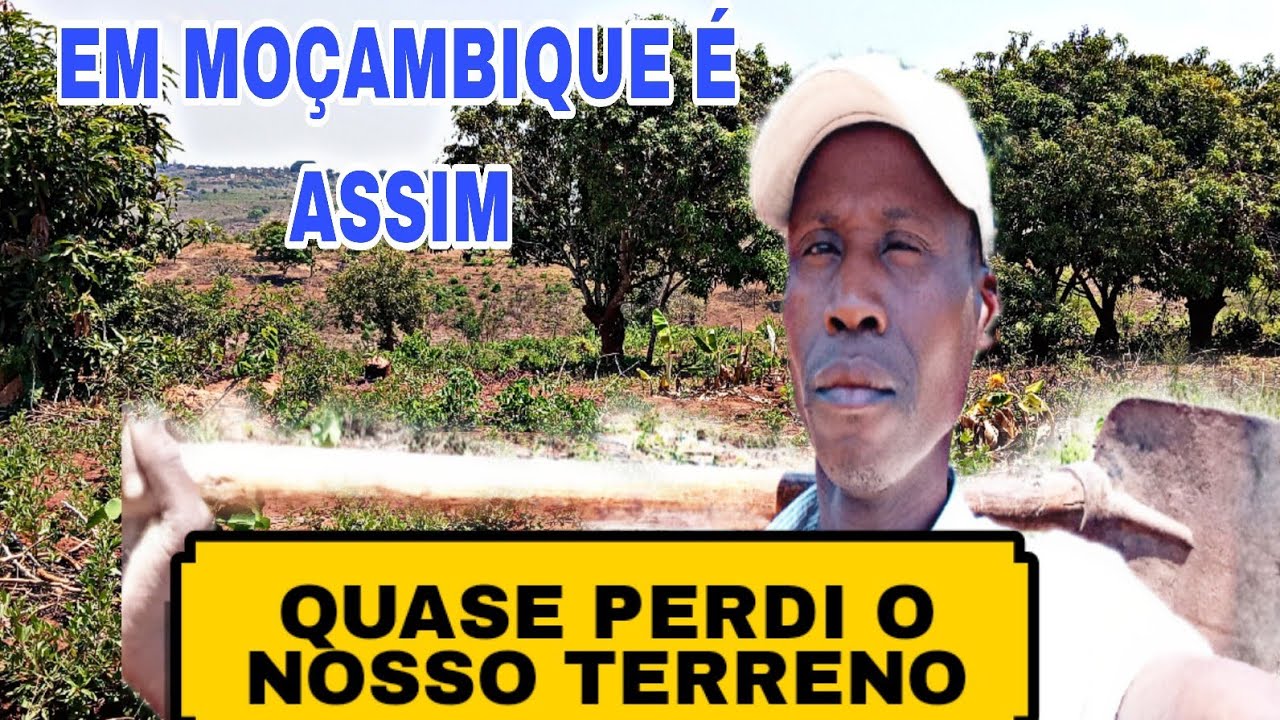 LIMPEZA NO NOSSO TERRENO 