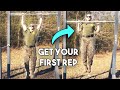 Get Your First Pull Ups | Exercise Instruction
