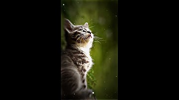 ABUZADA 🔥🥵 || New Trend 💞💘 || NEW XML FILE || NEW TREAND XML || XML FILE ALIGHT MOTION