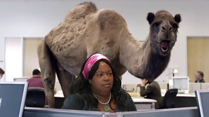 Geico Hump Day Bible Study Commercial