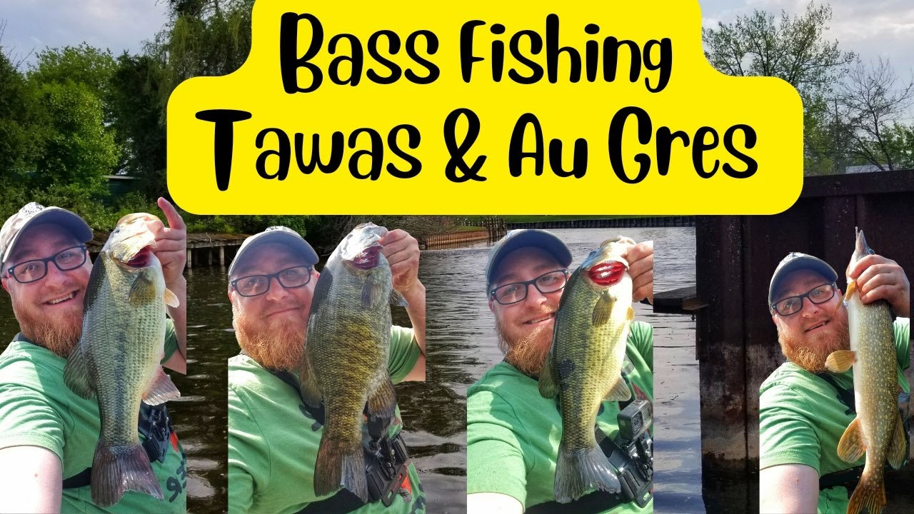 Bass Fishing Tawas & Au Gres River YouTube