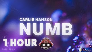 [ 1 HOUR ] Carlie Hanson - Numb (Lyrics)