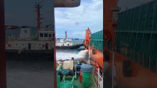 Livelihood Fighter #operator #spb #tug #anchorage