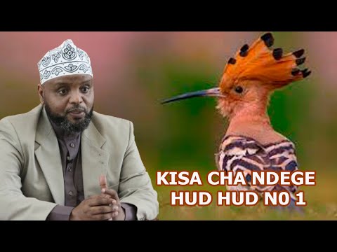 KISA CHA NDEGE HUD HUD NA NABII SULEIMAN NO 1 SHEIKH OTHMAN MAALIM