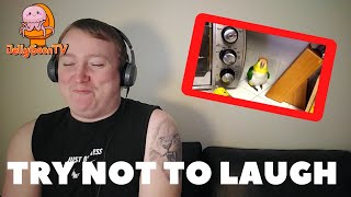 Try Not To Laugh 4 THE HARDEST ONE YET  - Reaction!