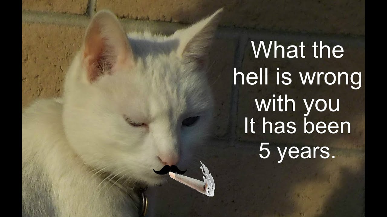  5 YEARS OLD
