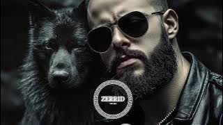 ZERRID - The Best Deep House Music 2025 #deephouse #mix