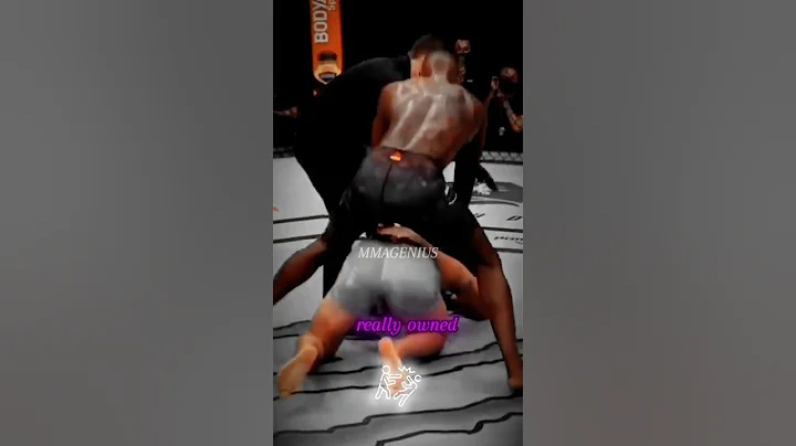 Joe Rogan explains What Happened to Paulo Costa After Adesanya