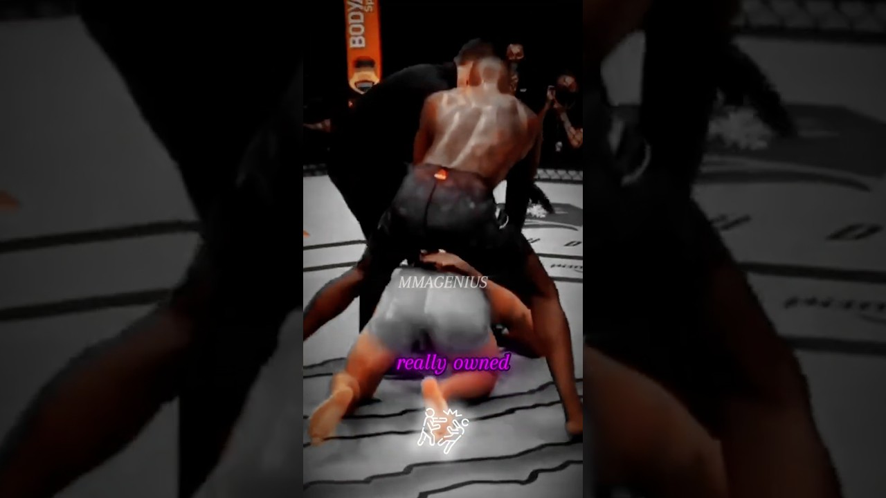 Joe Rogan explains What Happened to Paulo Costa After Adesanya
