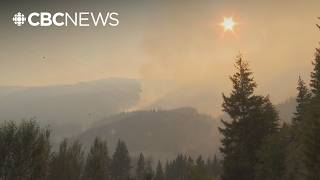 Brunswick Creek wildfire balloons in size forcing evacuations near Boston Bar