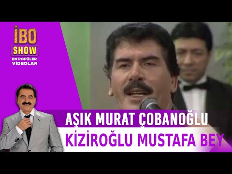 Video: Atlar bitsiz cilovu sevirmi?