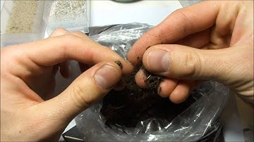 Basing with sand part 1: alternatives