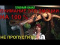 Самый интересный выпуск, который будут смотреть весь 2020! Главный канал