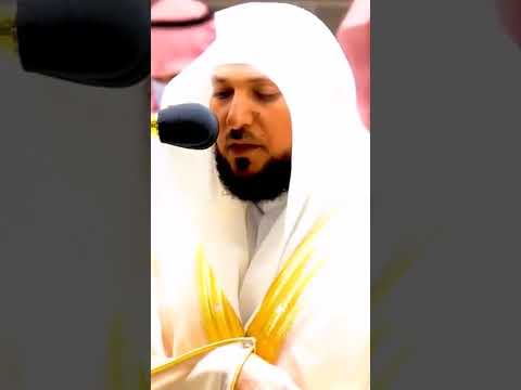 الشيخ ماهر المعيقلي ولا تجعل يدك مغلولة إلى عنقك ولا تبسطها كل البسط  