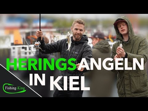 Heringsangeln - so